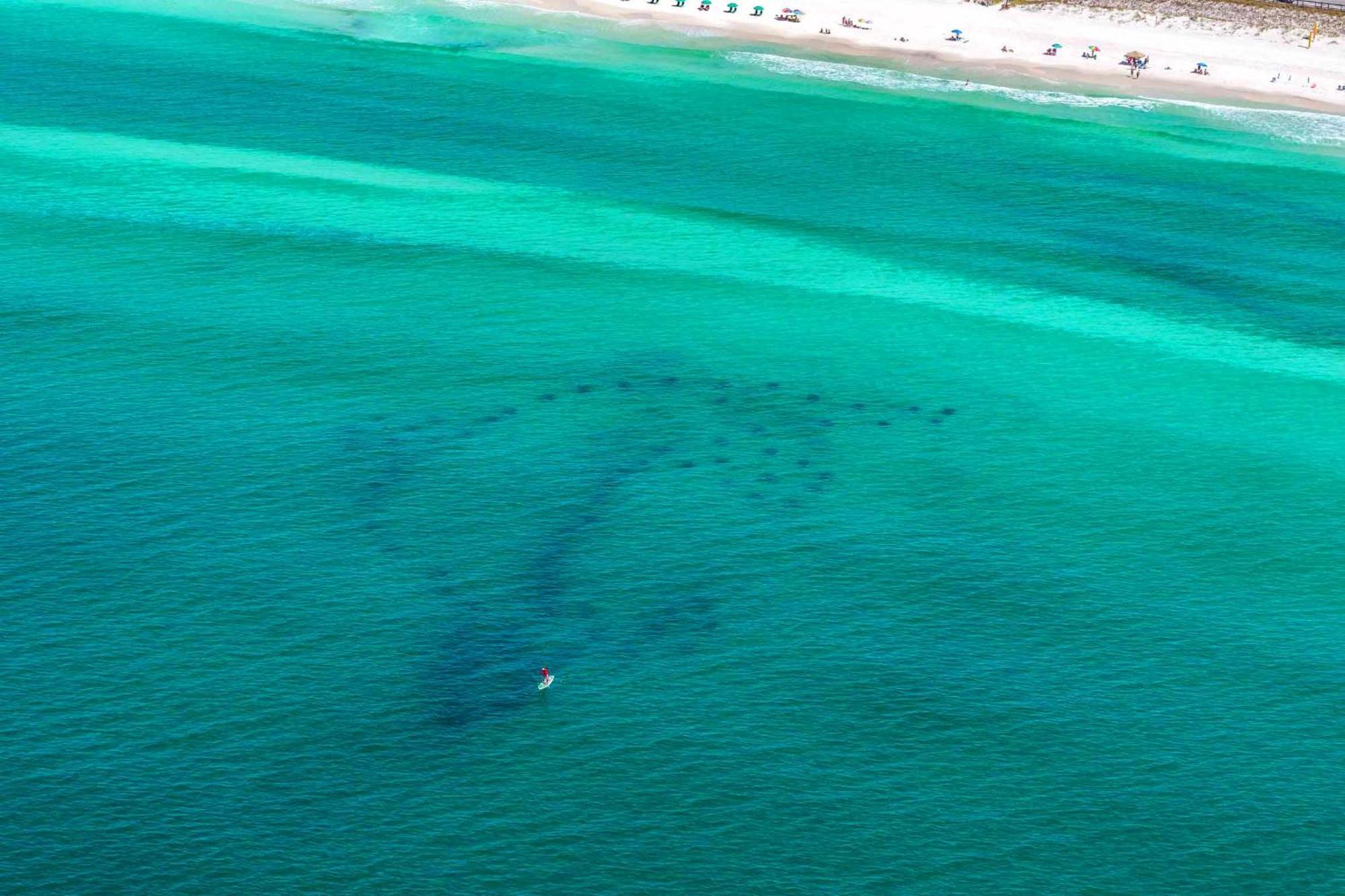 Ariel Dunes I 2207 Destin Exterior photo